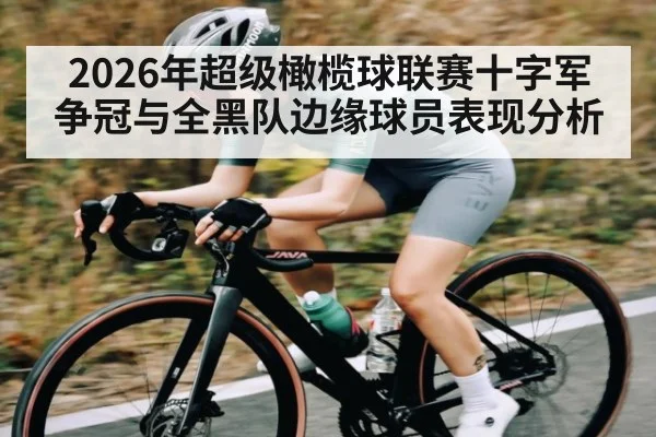 2026年超级橄榄球联赛十字军争冠与全黑队边缘球员表现分析